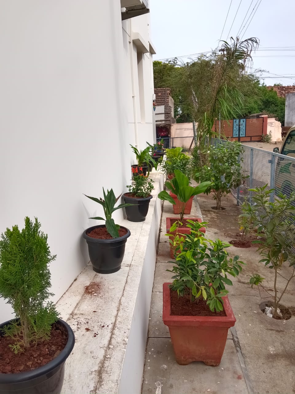 selvakumaran nursery