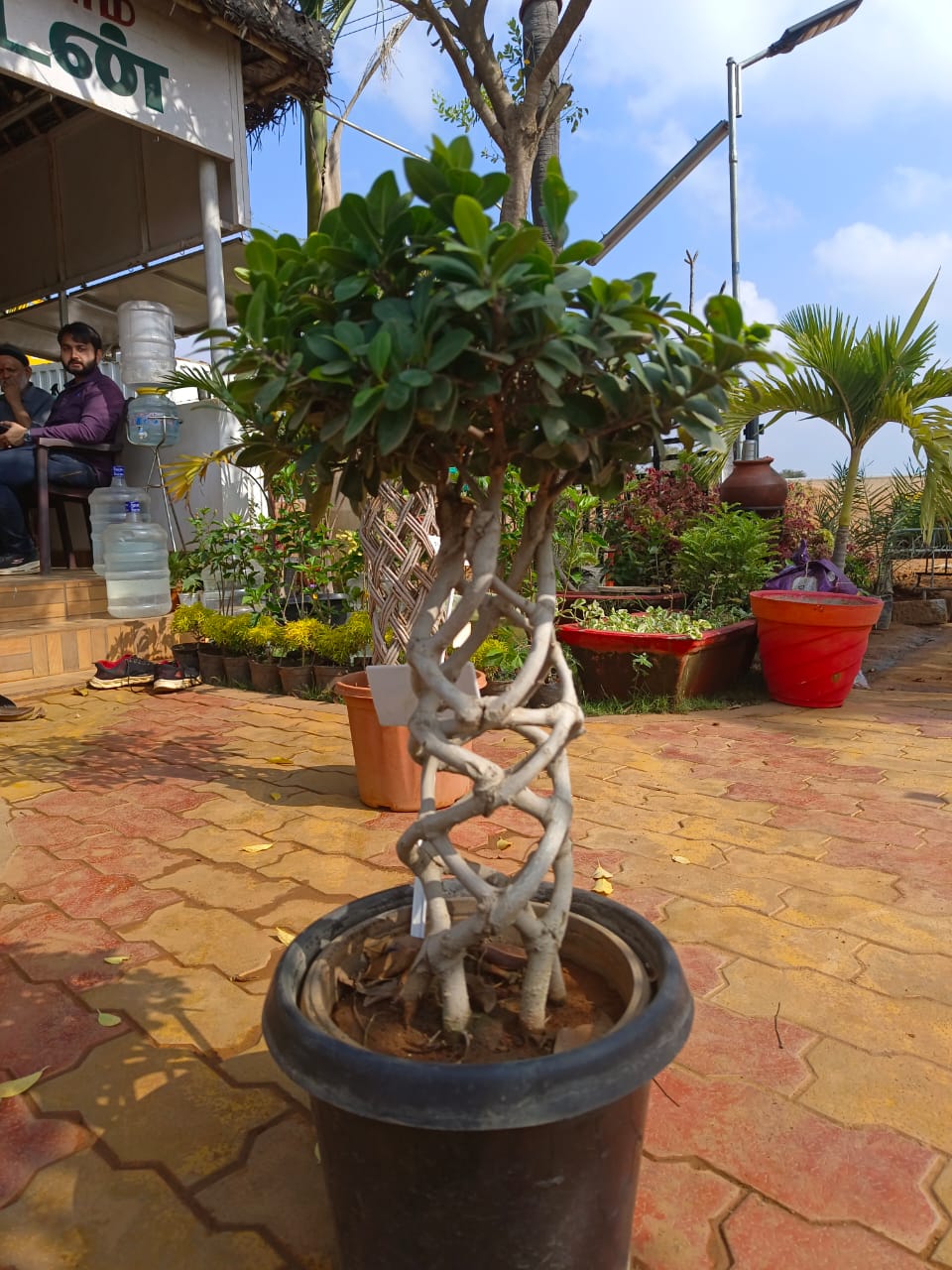 selvakumaran nursery