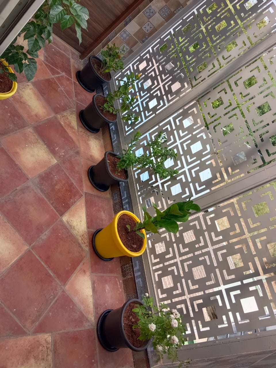 selvakumaran nursery